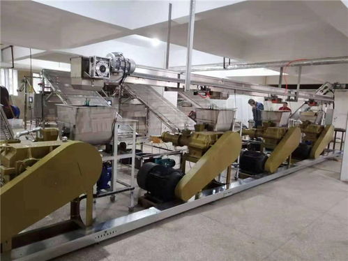 全自動酸漿米線機 酸漿米線機 誠瑞達(dá)食品機械